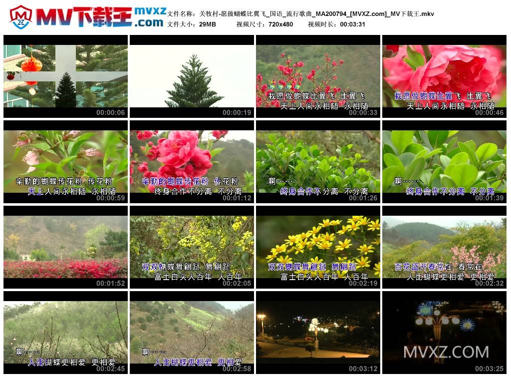 关牧村-愿做蝴蝶比翼飞_国语_流行歌曲_MA200794